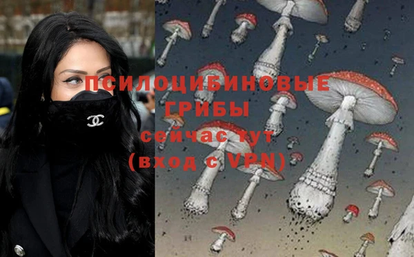 гидропоника Арсеньев